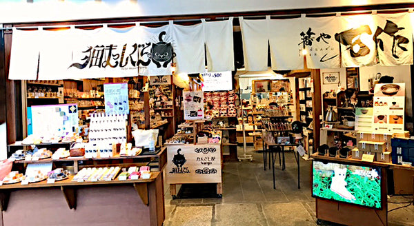 京錦 猫まっしぐら