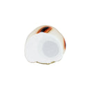 【猫まっしぐらセレクト】 5号・猫の招き猫-小判