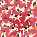 『猫まっしぐら』特製タンブラー-猫まっしぐら/踊り猫/赤/青（タンブラー ねこまっしぐら/おどりねこ/あか/あお）