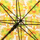 丸屋根深張透明傘-百色眼鏡／ちらし寿司(ドームビニール傘-ひゃくいろめがね／ちらしずし)