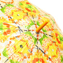 丸屋根深張透明傘-百色眼鏡／ちらし寿司(ドームビニール傘-ひゃくいろめがね／ちらしずし)