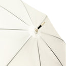 極 丸屋根深張透明傘-縞杜若帯(きわみ ドームビニール傘-しまかきつばたおび)