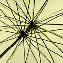 極 16本骨透明傘-鶯(きわみ 16ぽんほねビニール傘-うぐいす)