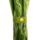 極 16本骨透明傘-鶯(きわみ 16ぽんほねビニール傘-うぐいす)