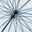 極 16本骨透明傘-藍(きわみ 16ぽんほねビニール傘-あい)