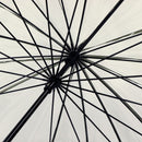 極 16本骨透明傘-墨(きわみ 16ぽんほねビニール傘-すみ)