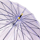 極 16本骨透明傘-藤(きわみ 16ぽんほねビニール傘-ふじ)