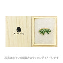 竹箸置き-竹（たけはしおき-たけ)