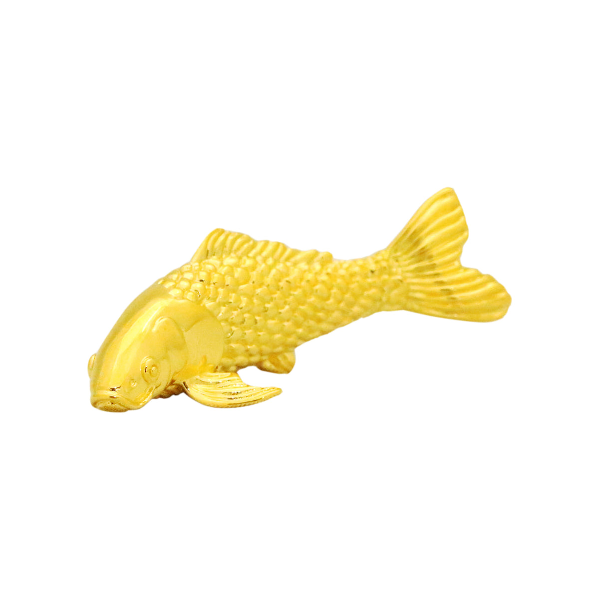 金の鯉 金松葉20cm（YK15-030） - 錦鯉販売・通販 新潟 山古志 | 綾 Koi