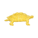 万作Zoo-亀(まんさくずう-かめ)