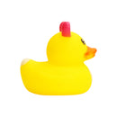 あひる部隊-バラエティAセット