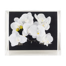 花衣冠簪‐胡蝶蘭（はなごろもヘッドドレス‐こちょうらん）