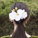 花衣冠簪‐胡蝶蘭（はなごろもヘッドドレス‐こちょうらん）