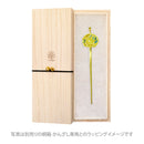 九谷焼一本簪‐菊（くたにやきいっぽんかんざし‐きく）