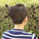 一本彫写絵一本簪‐梅（いっぽんぼりうつしえいっぽんかんざし‐うめ）