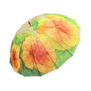 和柄テキスタイル 16本骨長傘‐色絵南国植物‐仏桑花（わがらてきすたいる 16ぽんほねなががさ‐いろえなんごくしょくぶつ-はいびすかす）