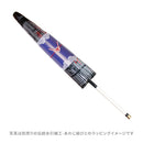 舞妓傘‐黒龍（まいこがさ-こくりゅう）