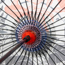 舞妓傘‐琉金（まいこがさ-りゅうきん）