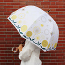 丸屋根深張傘‐蒲公英／月白（ドーム傘-たんぽぽ／げっぱく）