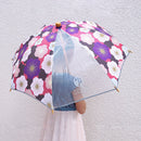 安全透明子供傘‐おさなごさくら（あんぜんとうめいキッズかさ-おさなごさくら）