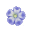 米ぬか練りきり石鹸‐桔梗（こめぬかねりきりせっけん‐ききょう）