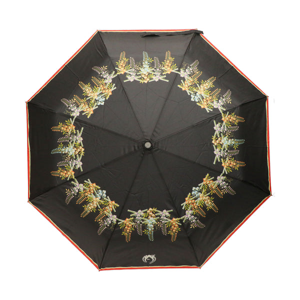 歌舞伎　折り畳み傘/藤娘