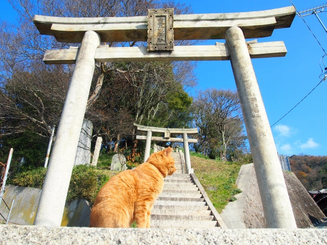 猫神様 日本に伝わる猫の神様と縁の深い神社をご紹介します 和猫グッズ 猫雑貨の専門通販