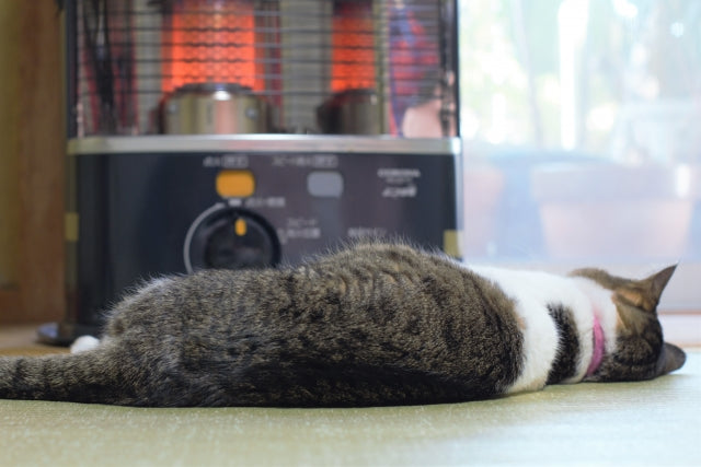 猫とこたつ 冬に気をつけなきゃいけない暖房と猫の距離感 和猫グッズ 猫雑貨の専門通販