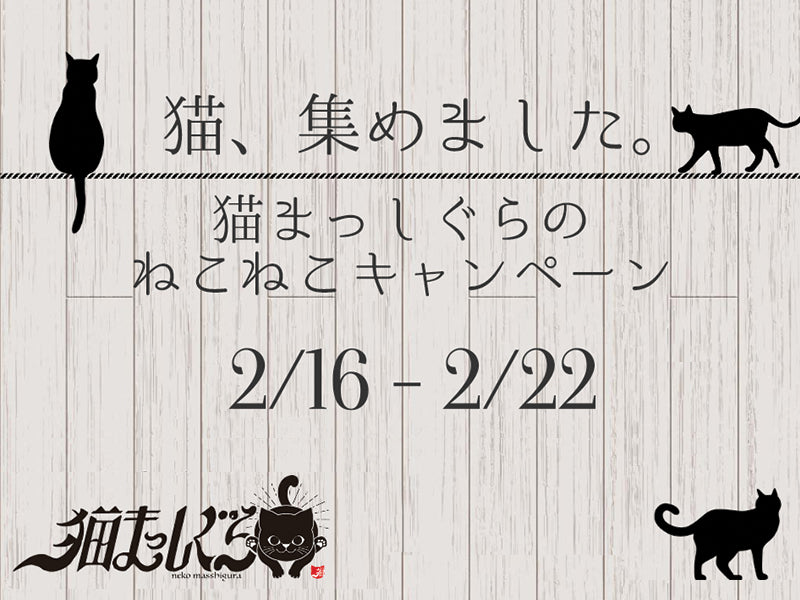 猫 集めました 猫まっしぐらのねこねこキャンペーン 和猫グッズ 猫雑貨の専門通販 猫まっしぐら