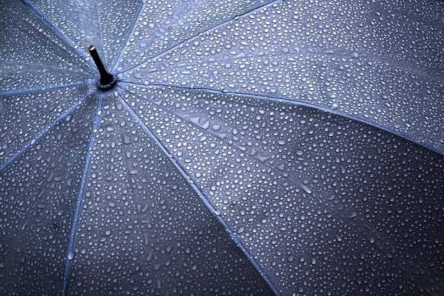 雨傘 日傘どっちが先に生まれたの 傘の歴史探訪 和傘 和柄傘 通販専門店 北斎グラフィック